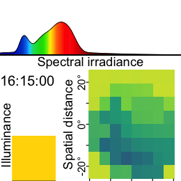 Visual experience includes and goes beyond light exposure. It is about all aspects of the visual environment. In our case we also focus on viewing distance and spectral distribution