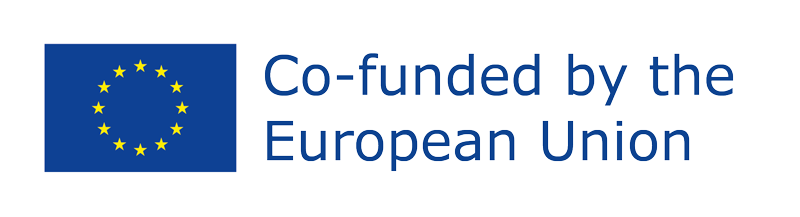 Co-funded by the European Union logo